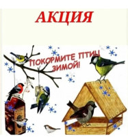 Акция "Покормите птиц зимой" Акция "Покормите птиц зимой".