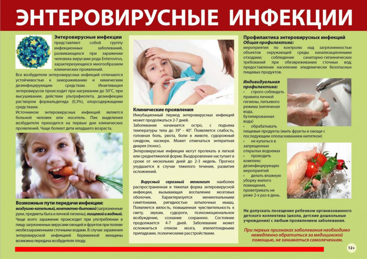 ПАМЯТКА ДЛЯ РОДИТЕЛЕЙ ПО ПРОФИЛАКТИКЕ ЭНТЕРОВИРУСНОЙ ИНФЕКЦИИ ПАМЯТКА ДЛЯ РОДИТЕЛЕЙ ПО ПРОФИЛАКТИКЕ ЭНТЕРОВИРУСНОЙ ИНФЕКЦИИ.